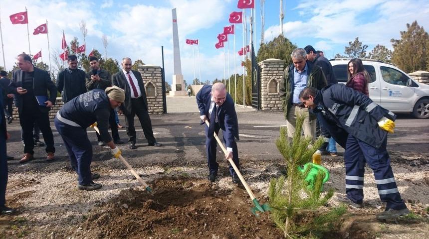 Başkan Özgökçe’den ‘Dünya Ormancılık Günü ve Orman Haftası’ mesajı