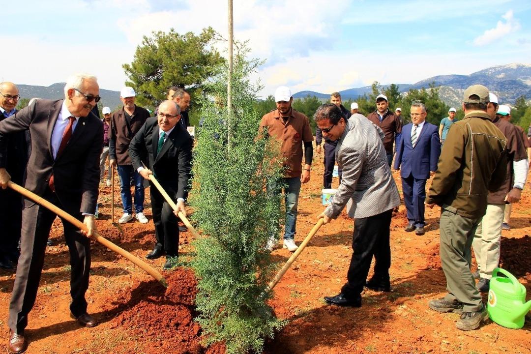 &rsquo;Adalet Ormanı&rsquo; fidanlarla buluştu