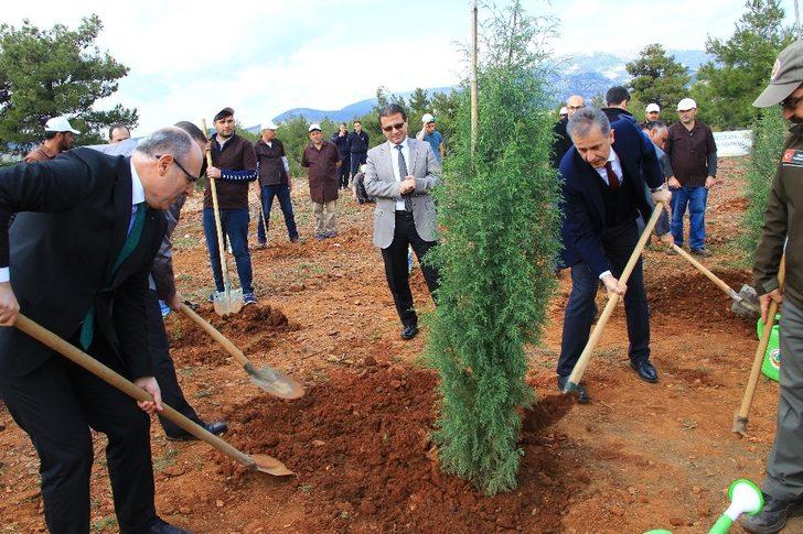 ’Adalet Ormanı’ fidanlarla buluştu G3