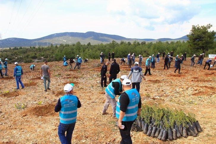 ’Adalet Ormanı’ fidanlarla buluştu G5