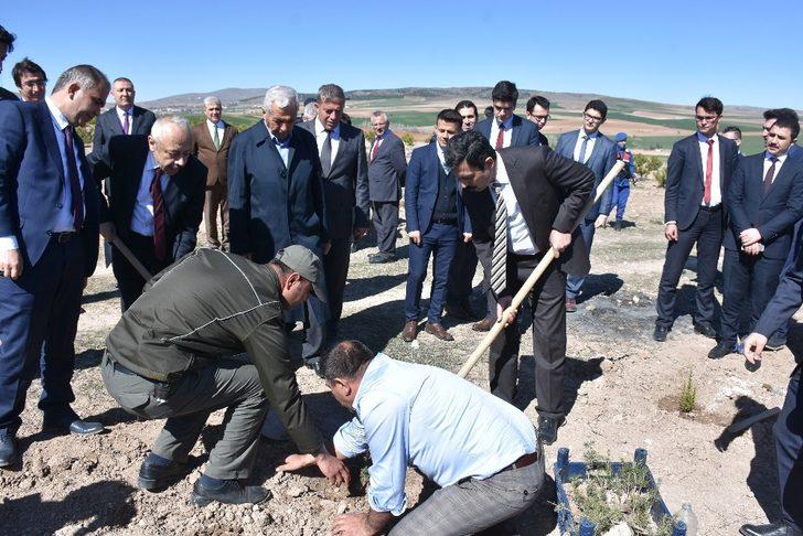 Mahkumlar ‘Adalet Ormanı’ için fidan dikti G1