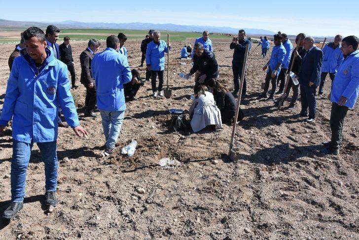 Mahkumlar ‘Adalet Ormanı’ için fidan dikti G3