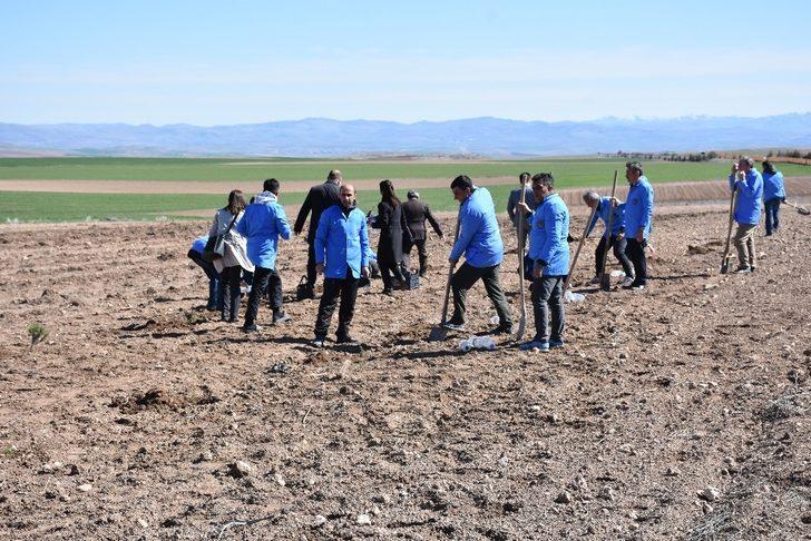 Mahkumlar ‘Adalet Ormanı’ için fidan dikti G4