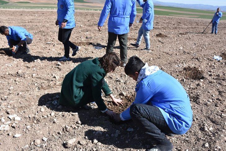 Mahkumlar ‘Adalet Ormanı’ için fidan dikti G5