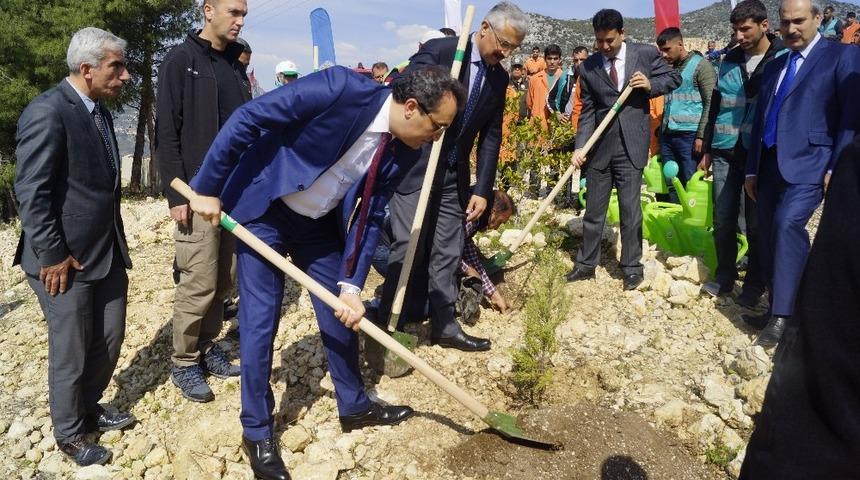 Mersin’de Adalet Ormanı oluşturuldu