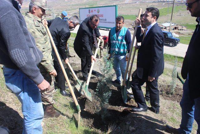 Şırnak’ta 'Adalet Ormanı' oluşturuldu