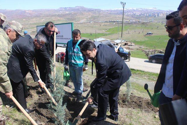 Şırnak’ta 'Adalet Ormanı' oluşturuldu