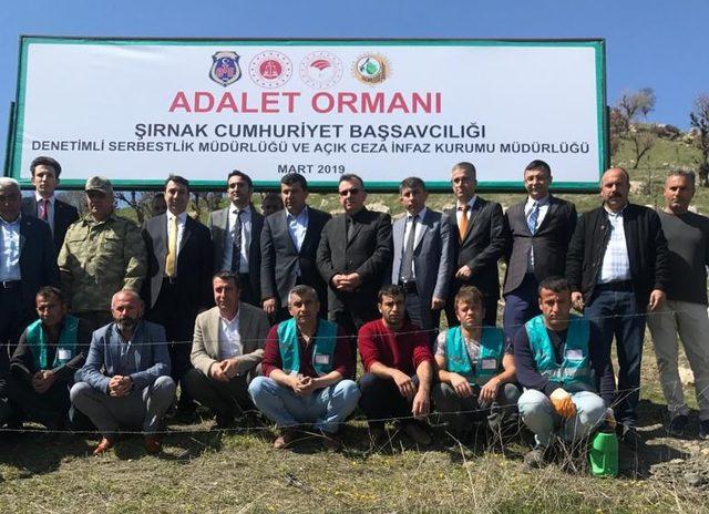 Şırnak’ta 'Adalet Ormanı' oluşturuldu