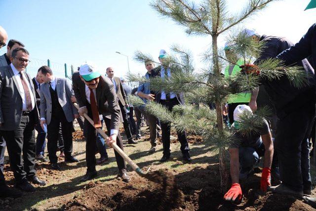 Bingöl'deki 'Adalet Ormanı'na 180 fidan dikildi