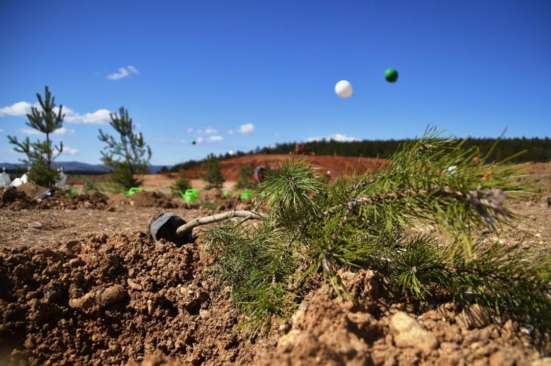 180 fidan 180 &ouml;ğrencinin eliyle toprağa dikildi