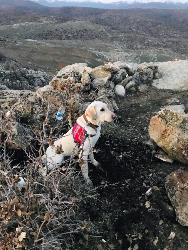 Eruh’ta yağ tenekesinde el yapımı patlayıcı bulundu