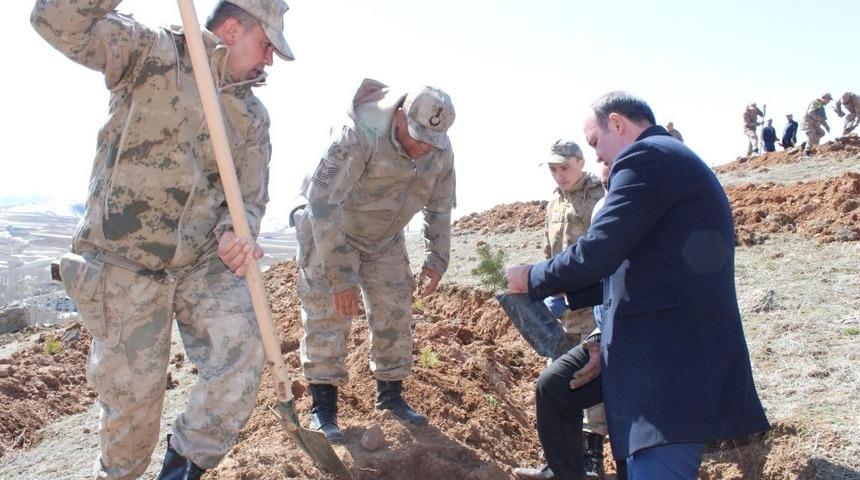 Jandarma 180. yıld&ouml;n&uuml;m&uuml;n&uuml; ağa&ccedil; dikerek kutladı