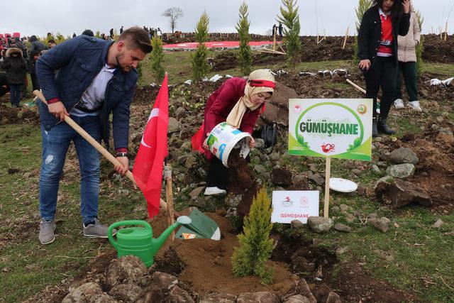 19 bin 19 fidanla 'Kurtuluş Ormanı' oluşturuldu