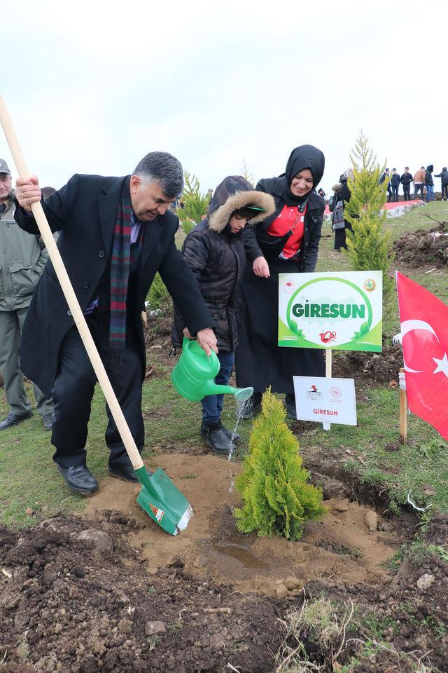 19 bin 19 fidanla 'Kurtuluş Ormanı' oluşturuldu