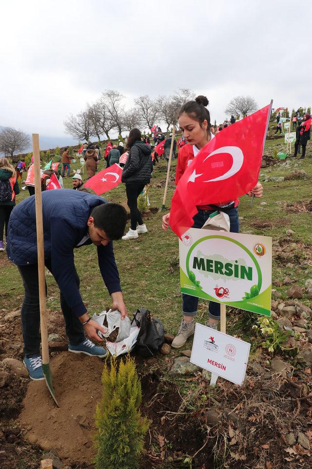 19 bin 19 fidanla 'Kurtuluş Ormanı' oluşturuldu