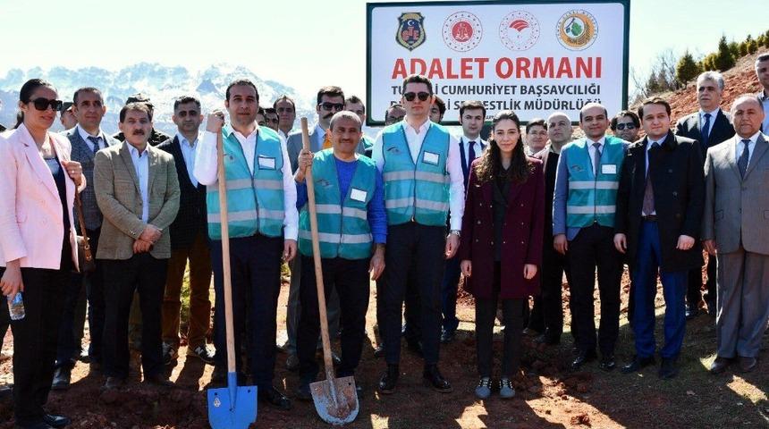 Tunceli&rsquo;de "Adalet Ormanı" oluşturuldu