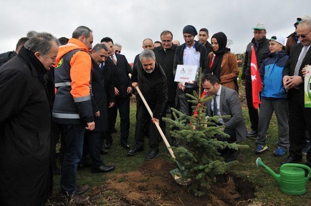 100. yılda 19 bin 19 fidan ile Türkiye haritası