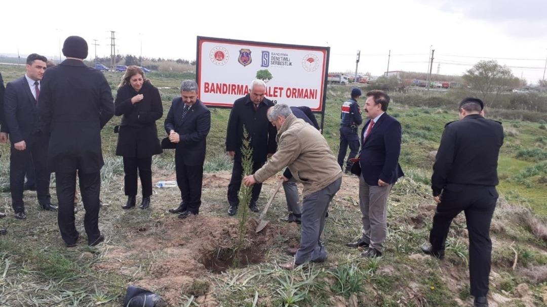 Bandırma&rsquo;ya Adalet Ormanı