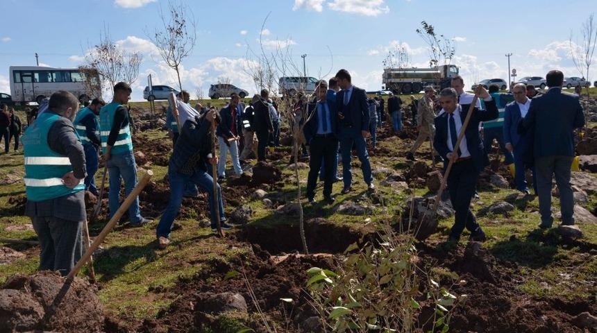 Siverek&rsquo;te &lsquo;Adalet Ormanı&rsquo; oluşturuldu