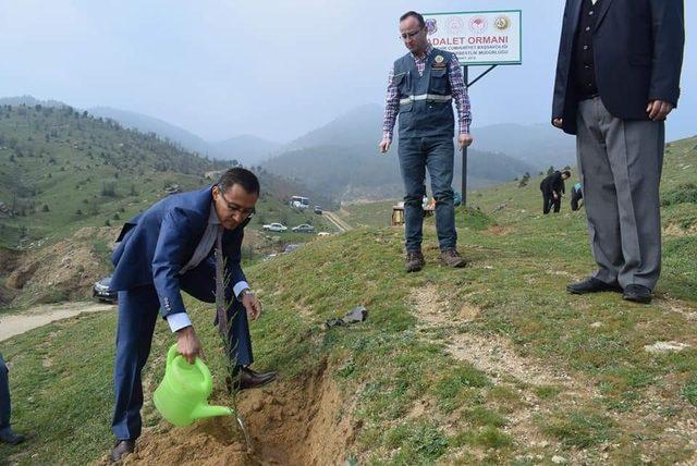 Alaşehir’de ’Adalet Ormanı’ oluşturuldu