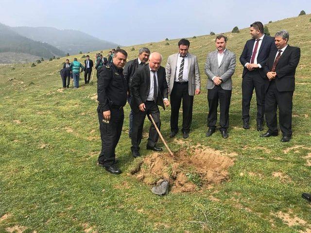 Alaşehir’de ’Adalet Ormanı’ oluşturuldu