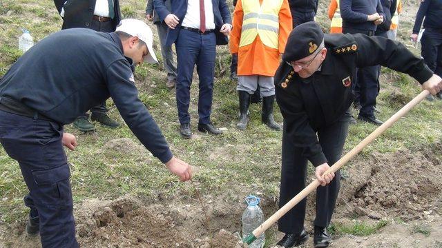 Bartın’da ‘Adalet Ormanı’ oluşturuldu