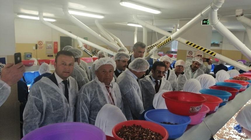 Ormanlı’da millet bahçesi ve dere ıslahı projeleri onaylandı