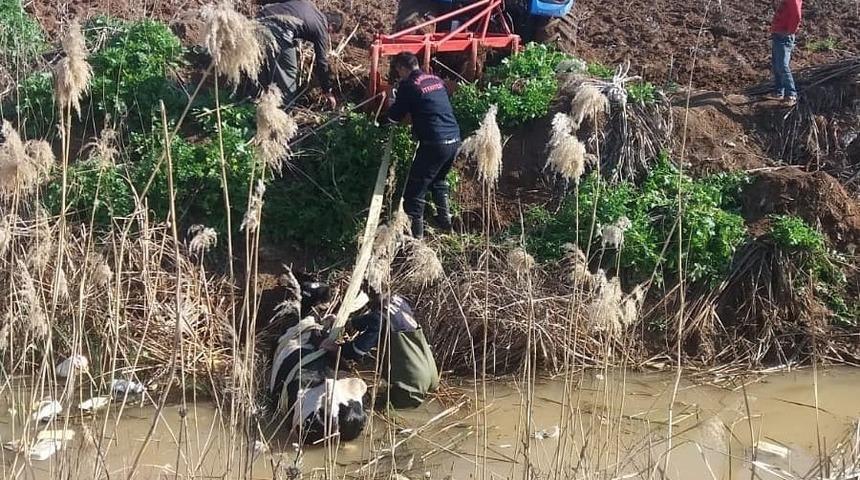Tahliye kanalına d&uuml;şen inek trakt&ouml;rle &ccedil;ıkartıldı
