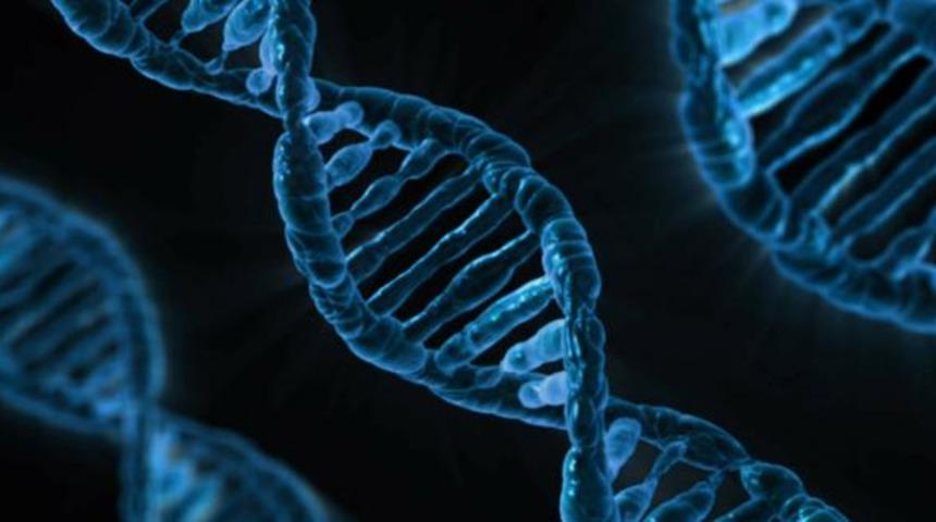 Bilim insanları: Hayvandan insana ge&ccedil;en bakteriler ruh hastalığına neden olabiliyor