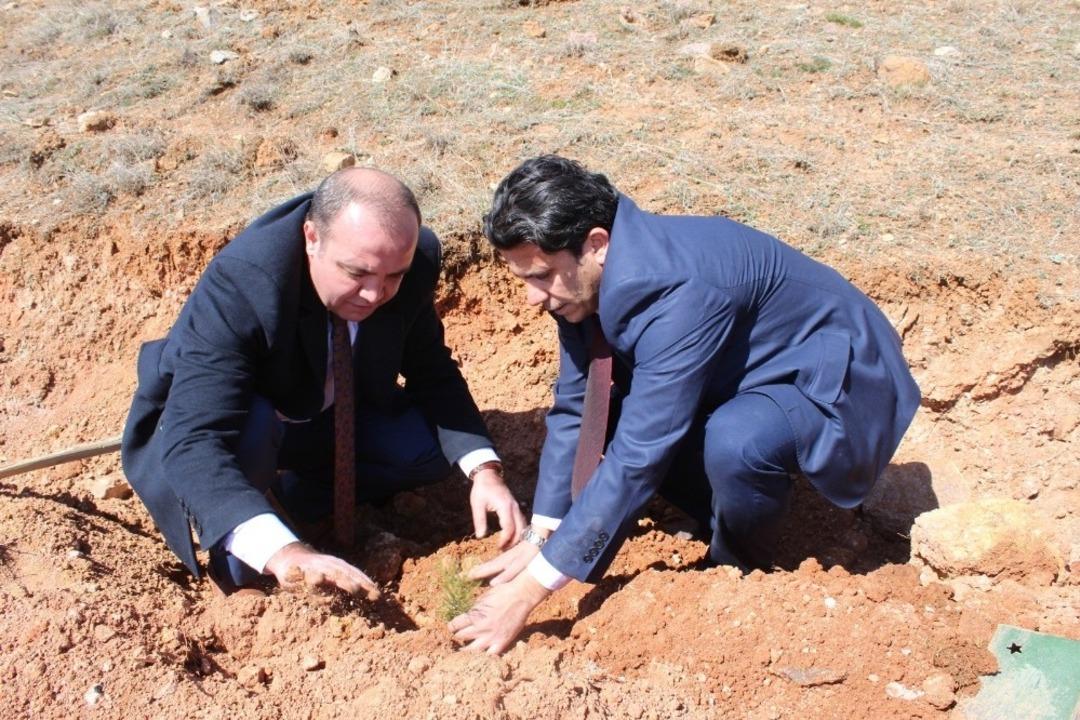 Narman&rsquo;da ağa&ccedil; dikimi seferberliği