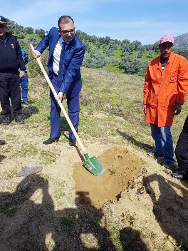 Nazilli’de ‘Adalet Ormanı’ yeşeriyor