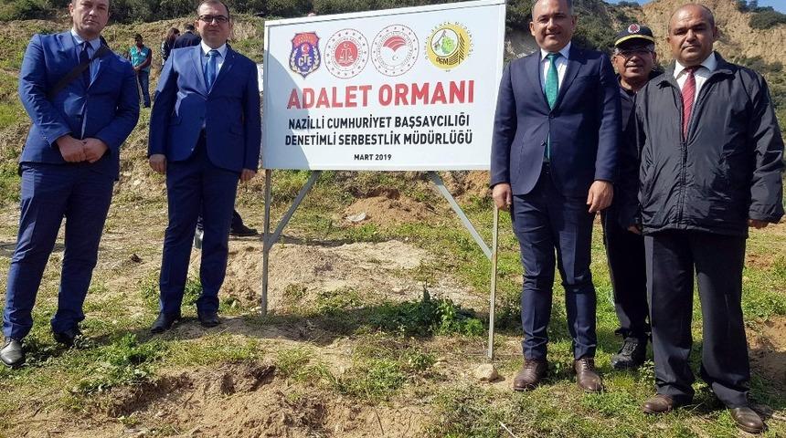 Nazilli&rsquo;de &lsquo;Adalet Ormanı&rsquo; yeşeriyor