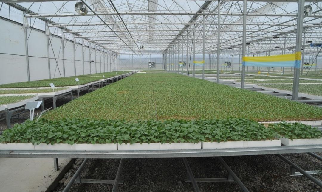 T&uuml;m T&uuml;rkiye&rsquo;nin fide ihtiyacını karşılamaya talip