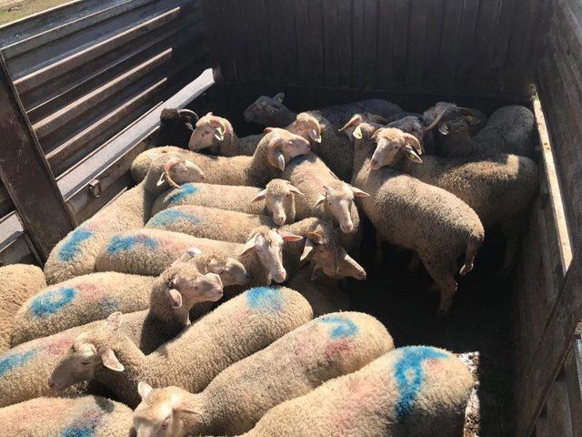 Jandarmadan g&uuml;ven uygulaması 1