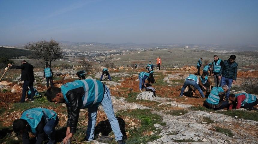 Gaziantep Dülükbaba ormanlık alanı yükümlüler ile daha da yeşerecek