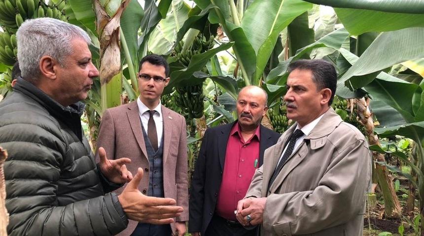 Sarı&ccedil;am Kaymakamlığı&rsquo;nın seracılık projesine &ouml;d&uuml;l