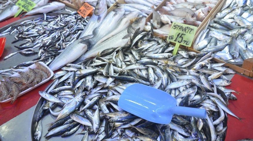 Balık ilgi g&ouml;rm&uuml;yor