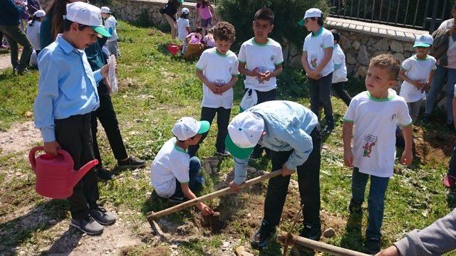 Datça’da protokol ve öğrenciler fidanları toprakla buluşturdu