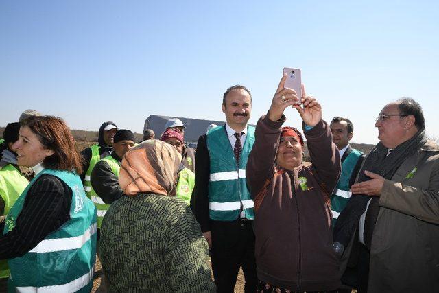 Adalet Ormanı’na ilk fidan Vali Canalp’ten