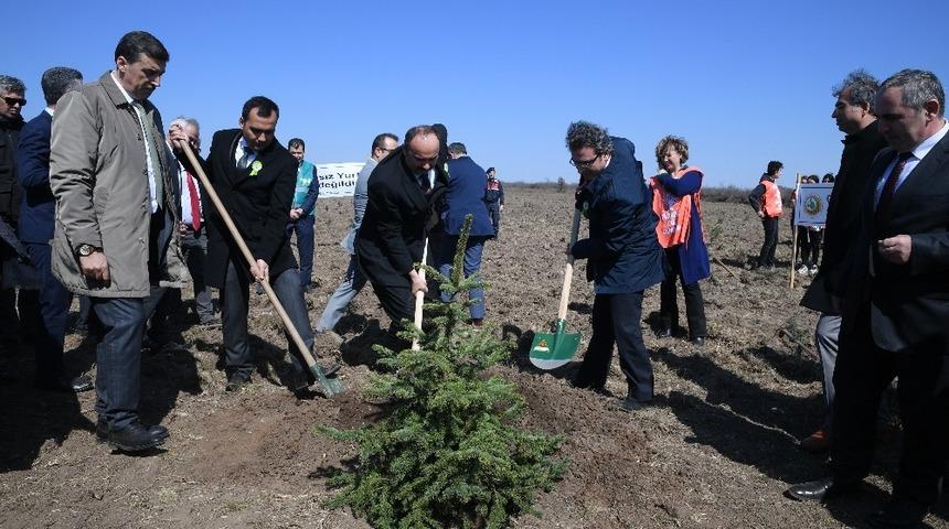 Adalet Ormanı&rsquo;na ilk fidan Vali Canalp&rsquo;ten