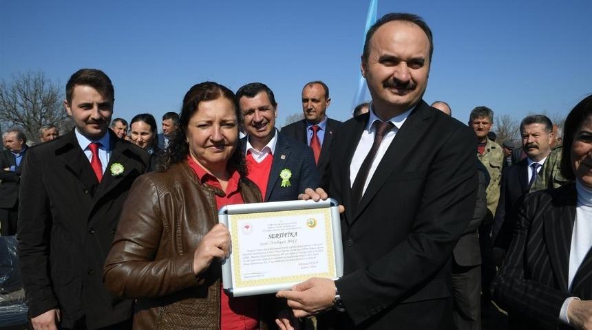 Akardere k&ouml;y&uuml;ne 8 bin 800 adet ceviz fidanı dikildi