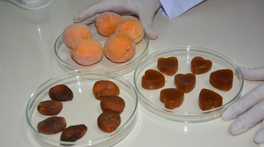 Ailelerin i&ccedil;i rahat edecek: Kayısıdan doğal jelibon &uuml;retildi