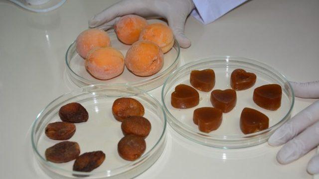 Ailelerin içi rahat edecek: Kayısıdan doğal jelibon üretildi