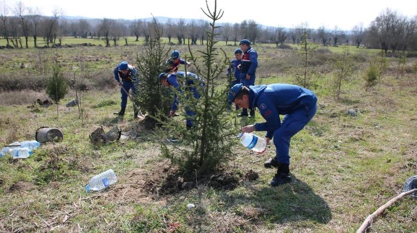 Jandarmadan fidan dikimi