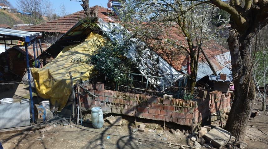 Bursa'da y&uuml;rek burkan kare: Mezarlara sahip &ccedil;ıkılsın