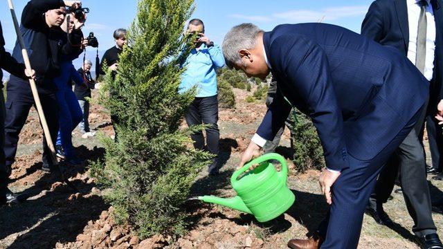 İmzalanan protokol kapsamında 560 fidan dikildi
