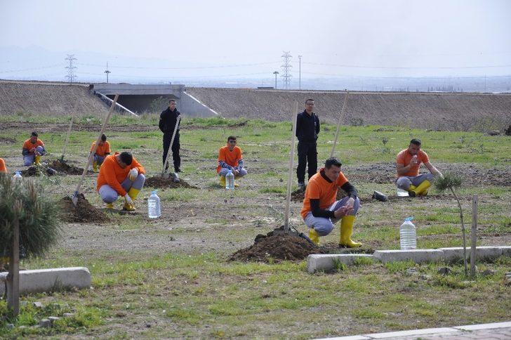 Menemen Açık Ceza İnfaz Kurumunda bin fidan toprakla buluştu G2