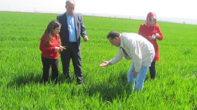 Başkan Altun ve Ziraat Mühendisleri, Arabanlı Üreticileri Bilgilendirdi