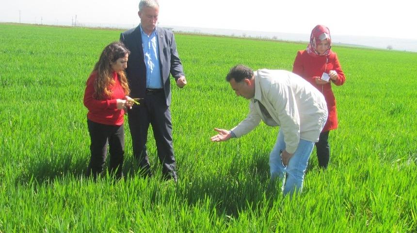 Başkan Altun ve Ziraat M&uuml;hendisleri, Arabanlı &Uuml;reticileri Bilgilendirdi