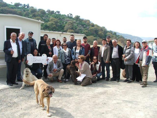 Başkan Karaçelik, Dalyan barınağında incelemelerde bulundu